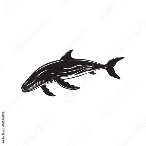 black whale,fish, dolphin, shark, animal, sea, vector, ocean, blue, cartoon, illustration, white, isolated, water, mammal, marine, fin, underwater, silhouette, nature, art, swimming, wildlife, black, 