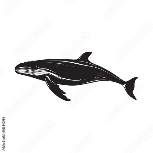 black whale,fish, dolphin, shark, animal, sea, vector, ocean, blue, cartoon, illustration, white, isolated, water, mammal, marine, fin, underwater, silhouette, nature, art, swimming, wildlife, black, 