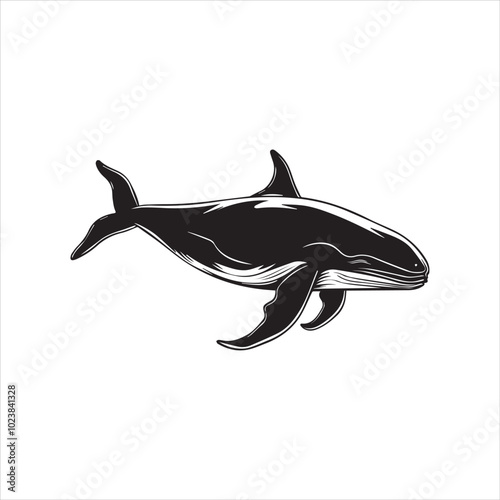 black whale,fish, dolphin, shark, animal, sea, vector, ocean, blue, cartoon, illustration, white, isolated, water, mammal, marine, fin, underwater, silhouette, nature, art, swimming, wildlife, black, 