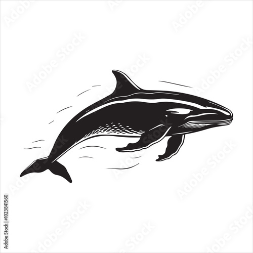 black whale,fish, dolphin, shark, animal, sea, vector, ocean, blue, cartoon, illustration, white, isolated, water, mammal, marine, fin, underwater, silhouette, nature, art, swimming, wildlife, black, 