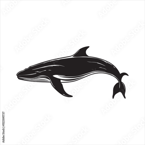 black whale,fish, dolphin, shark, animal, sea, vector, ocean, blue, cartoon, illustration, white, isolated, water, mammal, marine, fin, underwater, silhouette, nature, art, swimming, wildlife, black, 