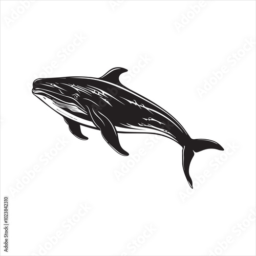 black whale,fish, dolphin, shark, animal, sea, vector, ocean, blue, cartoon, illustration, white, isolated, water, mammal, marine, fin, underwater, silhouette, nature, art, swimming, wildlife, black, 