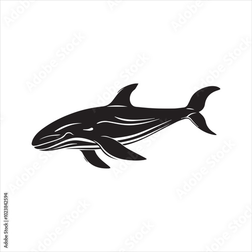 black whale,fish, dolphin, shark, animal, sea, vector, ocean, blue, cartoon, illustration, white, isolated, water, mammal, marine, fin, underwater, silhouette, nature, art, swimming, wildlife, black, 