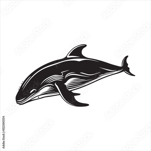 black whale,fish, dolphin, shark, animal, sea, vector, ocean, blue, cartoon, illustration, white, isolated, water, mammal, marine, fin, underwater, silhouette, nature, art, swimming, wildlife, black, 