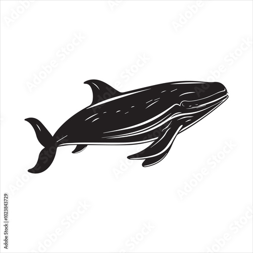 black whale,fish, dolphin, shark, animal, sea, vector, ocean, blue, cartoon, illustration, white, isolated, water, mammal, marine, fin, underwater, silhouette, nature, art, swimming, wildlife, black, 