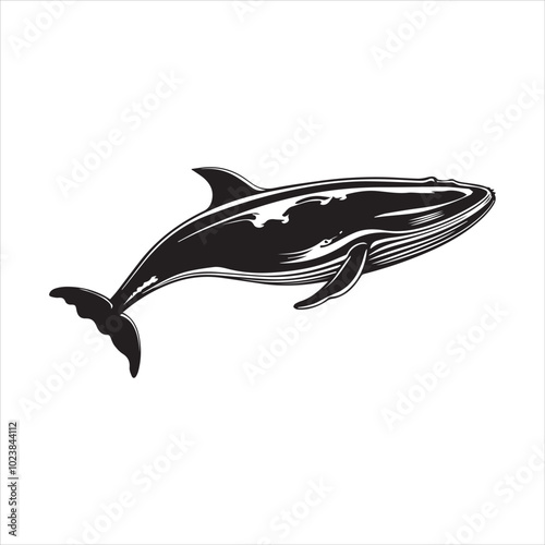black whale,fish, dolphin, shark, animal, sea, vector, ocean, blue, cartoon, illustration, white, isolated, water, mammal, marine, fin, underwater, silhouette, nature, art, swimming, wildlife, black, 