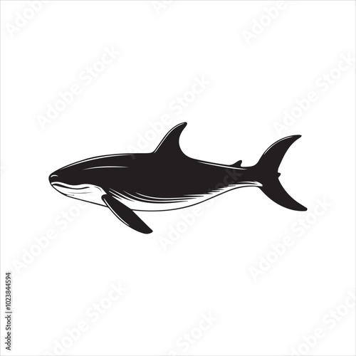 black whale,fish, dolphin, shark, animal, sea, vector, ocean, blue, cartoon, illustration, white, isolated, water, mammal, marine, fin, underwater, silhouette, nature, art, swimming, wildlife, black, 