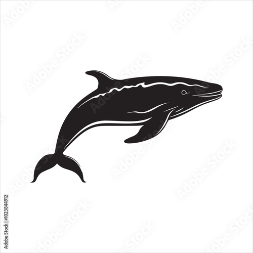 black whale,fish, dolphin, shark, animal, sea, vector, ocean, blue, cartoon, illustration, white, isolated, water, mammal, marine, fin, underwater, silhouette, nature, art, swimming, wildlife, black, 