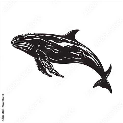 black whale,fish, dolphin, shark, animal, sea, vector, ocean, blue, cartoon, illustration, white, isolated, water, mammal, marine, fin, underwater, silhouette, nature, art, swimming, wildlife, black, 