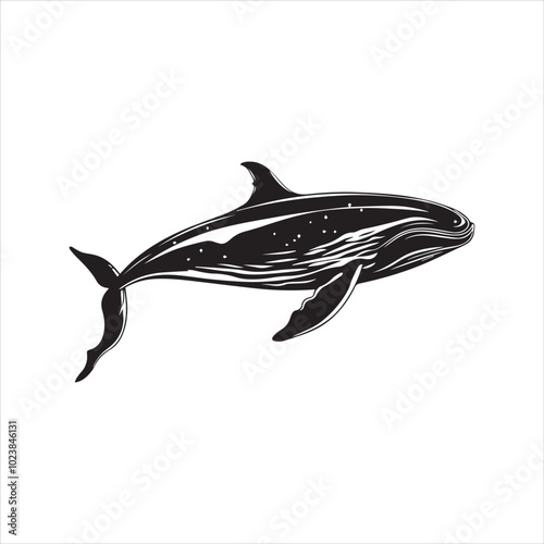 black whale,fish, dolphin, shark, animal, sea, vector, ocean, blue, cartoon, illustration, white, isolated, water, mammal, marine, fin, underwater, silhouette, nature, art, swimming, wildlife, black, 