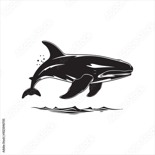 black whale,fish, dolphin, shark, animal, sea, vector, ocean, blue, cartoon, illustration, white, isolated, water, mammal, marine, fin, underwater, silhouette, nature, art, swimming, wildlife, black, 
