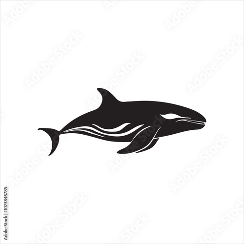 black whale,fish, dolphin, shark, animal, sea, vector, ocean, blue, cartoon, illustration, white, isolated, water, mammal, marine, fin, underwater, silhouette, nature, art, swimming, wildlife, black, 