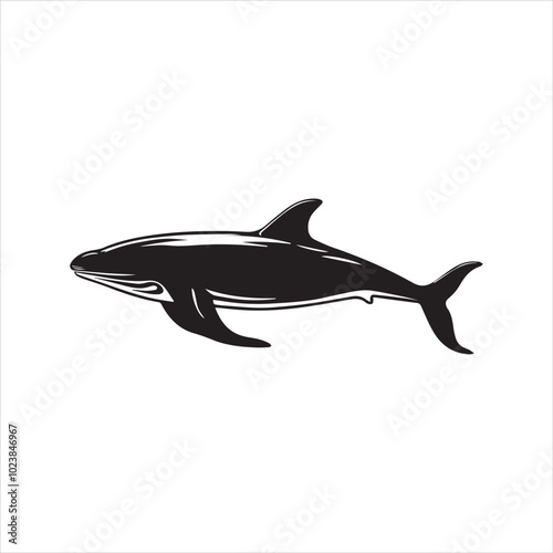 black whale,fish, dolphin, shark, animal, sea, vector, ocean, blue, cartoon, illustration, white, isolated, water, mammal, marine, fin, underwater, silhouette, nature, art, swimming, wildlife, black, 