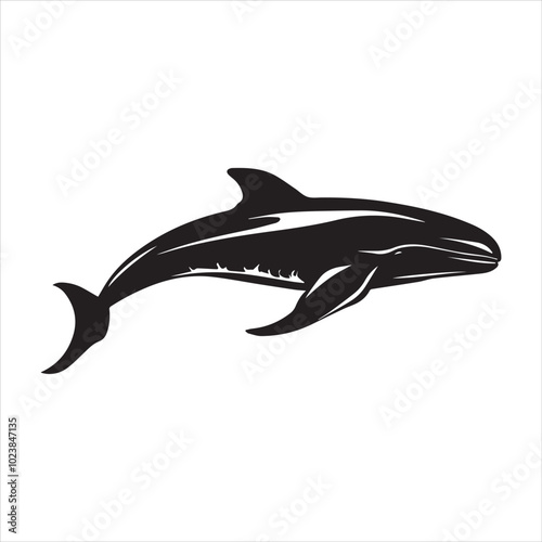 black whale,fish, dolphin, shark, animal, sea, vector, ocean, blue, cartoon, illustration, white, isolated, water, mammal, marine, fin, underwater, silhouette, nature, art, swimming, wildlife, black, 