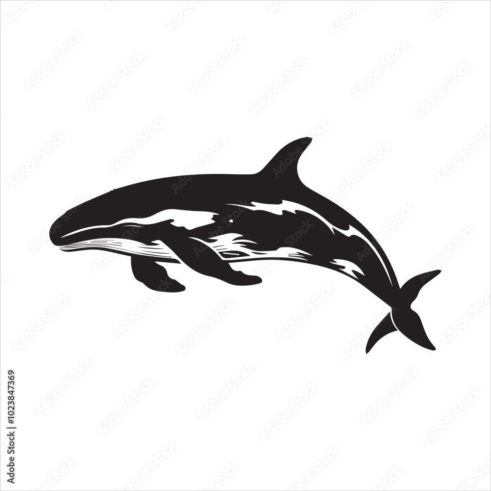 Fototapeta premium black whale,fish, dolphin, shark, animal, sea, vector, ocean, blue, cartoon, illustration, white, isolated, water, mammal, marine, fin, underwater, silhouette, nature, art, swimming, wildlife, black, 