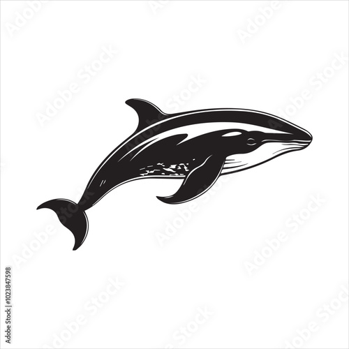 black whale,fish, dolphin, shark, animal, sea, vector, ocean, blue, cartoon, illustration, white, isolated, water, mammal, marine, fin, underwater, silhouette, nature, art, swimming, wildlife, black, 