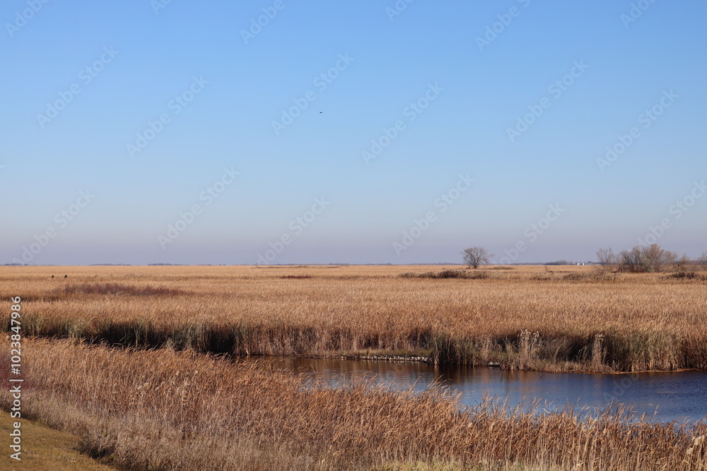 prairie marsh and grain fields to the horizon in autumn prairie marsh and grain fields to the horizon in autumn