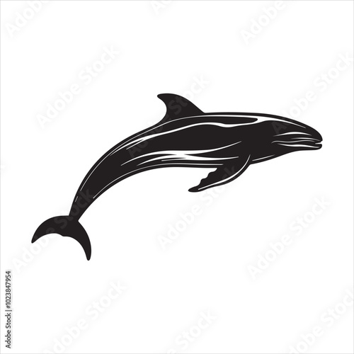 black whale,fish, dolphin, shark, animal, sea, vector, ocean, blue, cartoon, illustration, white, isolated, water, mammal, marine, fin, underwater, silhouette, nature, art, swimming, wildlife, black, 