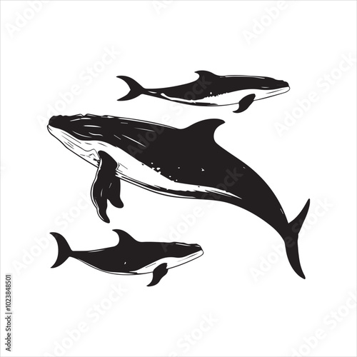 black whale,fish, dolphin, shark, animal, sea, vector, ocean, blue, cartoon, illustration, white, isolated, water, mammal, marine, fin, underwater, silhouette, nature, art, swimming, wildlife, black, 