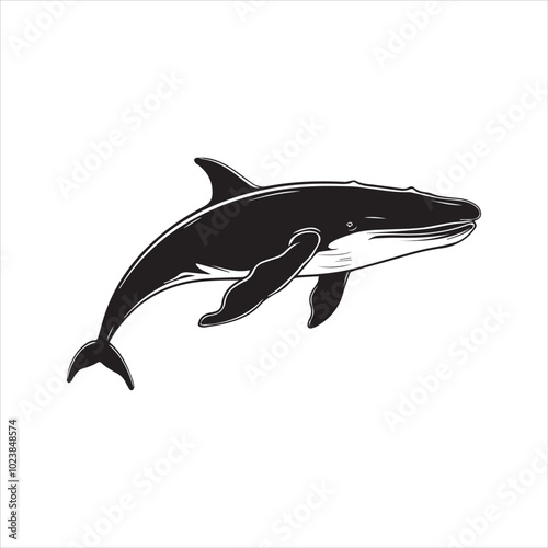 black whale,fish, dolphin, shark, animal, sea, vector, ocean, blue, cartoon, illustration, white, isolated, water, mammal, marine, fin, underwater, silhouette, nature, art, swimming, wildlife, black, 