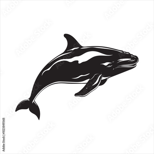 silhouette of a dolphin,fish, dolphin, shark, animal, sea, vector, ocean, water, illustration, cartoon, logo, silhouette, fin, nature, mammal, marine, underwater, swimming, tattoo, blue, art,