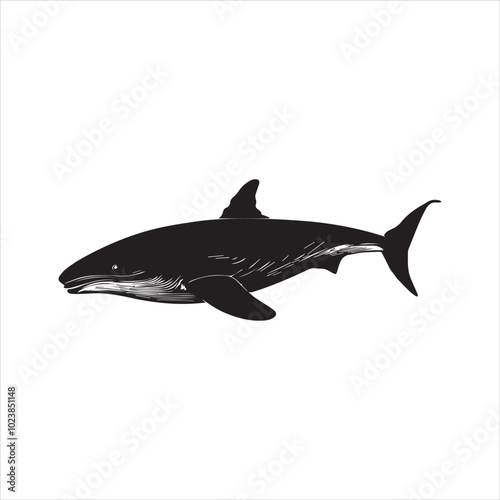 silhouette of a dolphin,fish, dolphin, shark, animal, sea, vector, ocean, water, illustration, cartoon, logo, silhouette, fin, nature, mammal, marine, underwater, swimming, tattoo, blue, art,