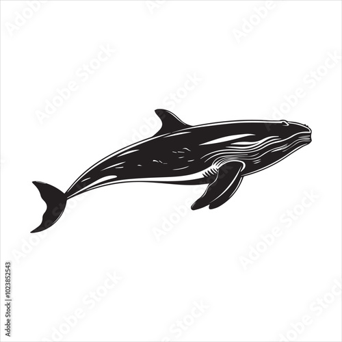 silhouette of a dolphin,fish, dolphin, shark, animal, sea, vector, ocean, water, illustration, cartoon, logo, silhouette, fin, nature, mammal, marine, underwater, swimming, tattoo, blue, art,