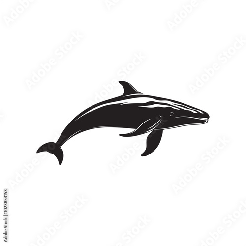 silhouette of a dolphin,fish, dolphin, shark, animal, sea, vector, ocean, water, illustration, cartoon, logo, silhouette, fin, nature, mammal, marine, underwater, swimming, tattoo, blue, art,
