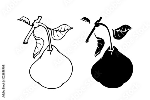 Line sketch, pear fruit outline,Decorative silhouette of seasonal fruits.Vector graphics.
