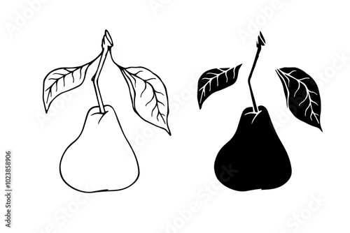 Line sketch, pear fruit outline,Decorative silhouette of seasonal fruits.Vector graphics.