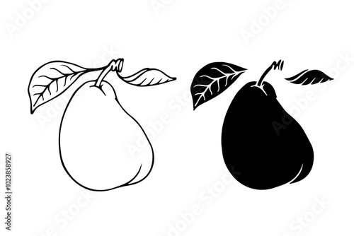 Line sketch, pear fruit outline,Decorative silhouette of seasonal fruits.Vector graphics.