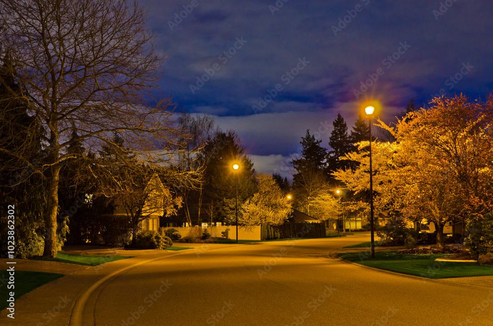 Fantastic glow luxury neighborhood at night Fantastic glow luxury neighborhood at night