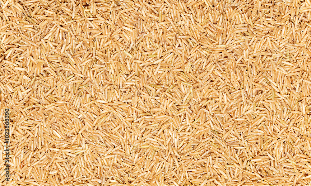 Macro photography of raw brown basmati rice, cereal; grain, healthy food, blank; banner; empty; template Macro photography of raw brown basmati rice, cereal; grain, healthy food, blank; banner; empty; template