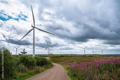 Landscape photography of wind turbine; windmill; wind power; power generation; electricity; industry; innovation; green energy; Whitelee Windfarm, Scotland