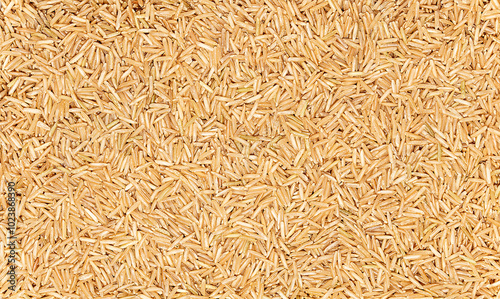 Photos Macro photography of raw brown basmati rice, cereal; grain, healthy food, blank;