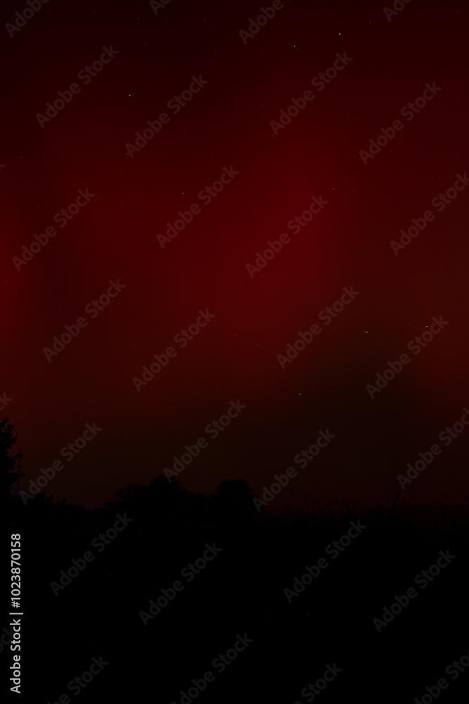 Fototapeta premium Background pattern