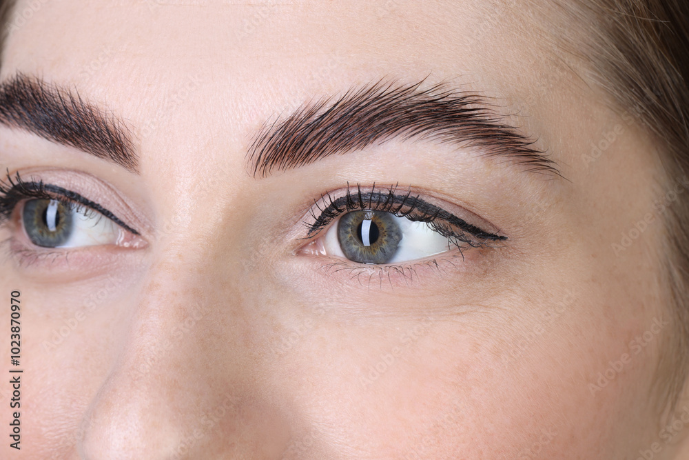 Woman after brow lamination procedure, closeup view Woman after brow lamination procedure, closeup view