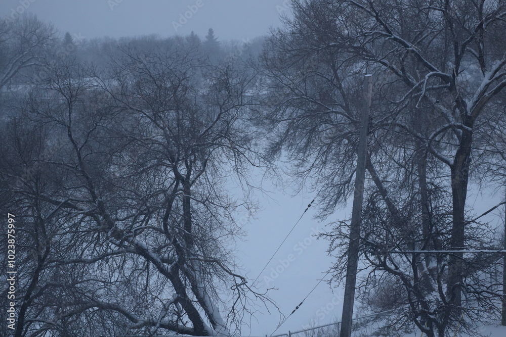 Obraz premium snow-covered frozen river viewed through barren trees in winter