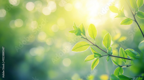 Green plant branch with fresh leaves on soft blurred background with bokeh.

