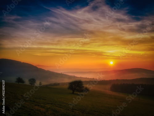 Scenic hilly landscape with solitary trees during sunset