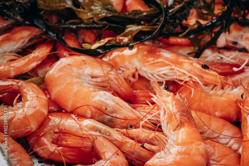 Close-up of shrimps at the market in Menton, on the French Riviera