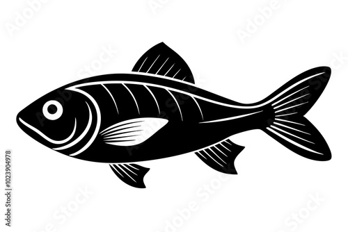 fish isolated on white