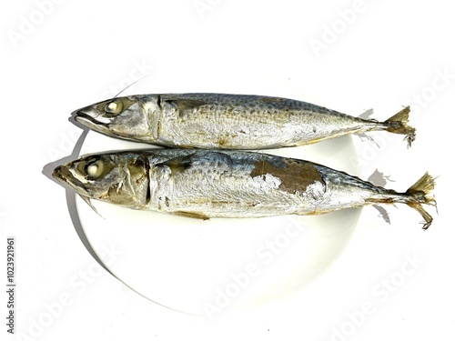 Two salted sardine or cue fish with shiny silver skin on a round ceramic plate isolated on white background