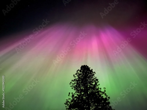 northern lights 