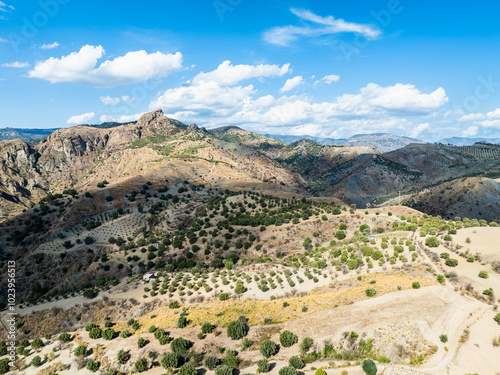 Mountains and Olive groves around Ghost Town from a drone, Pentedattilo Village, Calabria, Italy, Europe