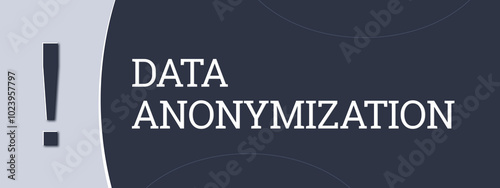 Data Anonymization. A blue banner illustration with white text. photo