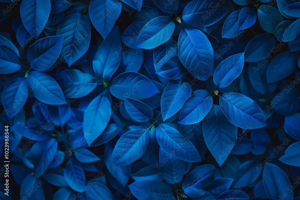 bush with unique blue leaves and a conceptual design bush with unique blue leaves and a conceptual design