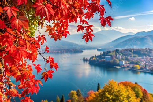 High angle view of red foliage in Luino near Lake Maggiore photo