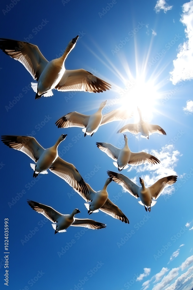 Obraz premium Birds flying against a bright blue sky