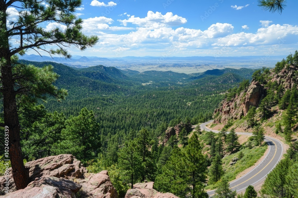 Fototapeta premium Scenic overlook with a road winding through pine forest below, panoramic beauty